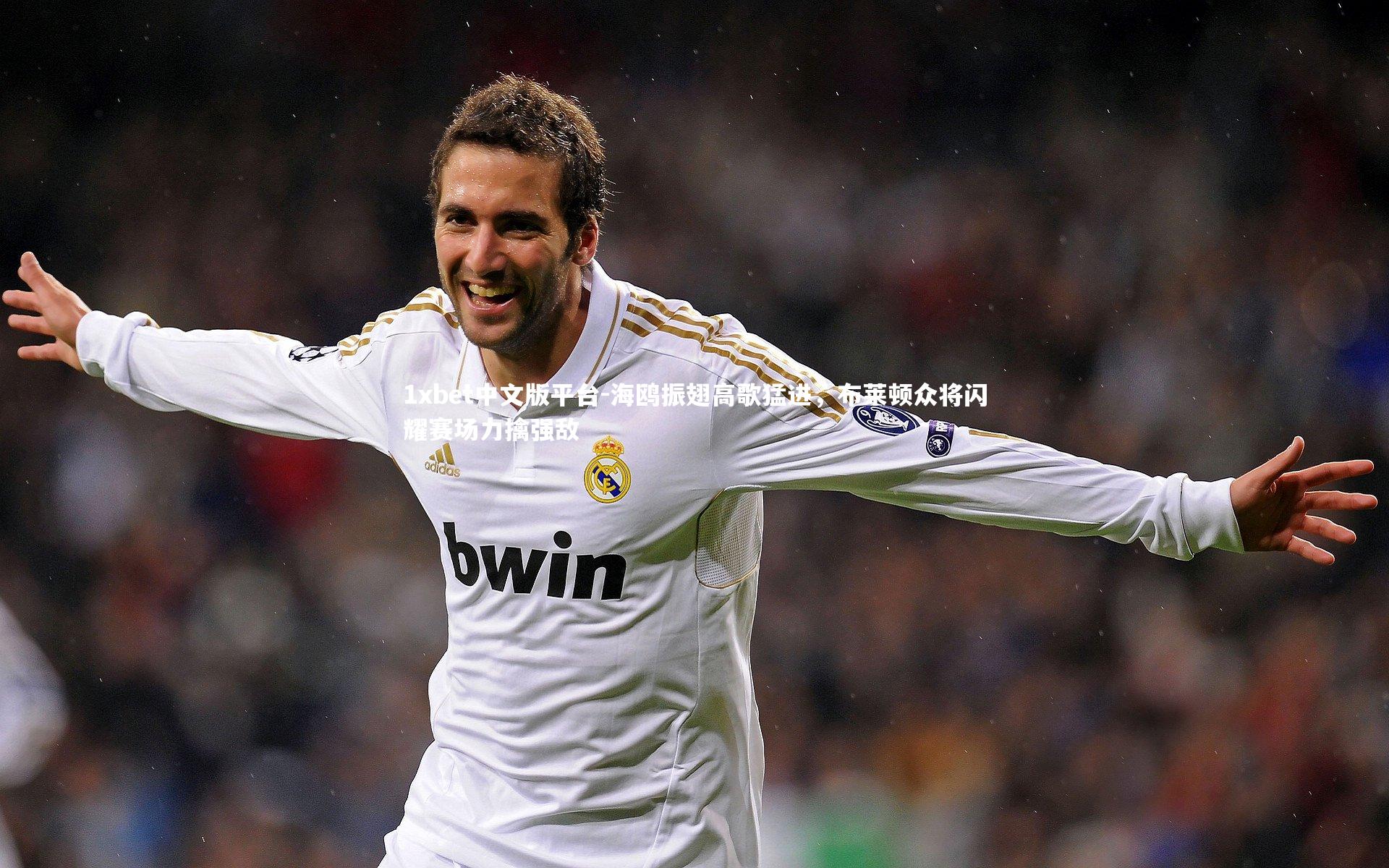 海鸥振翅高歌猛进，布莱顿众将闪耀赛场力擒强敌